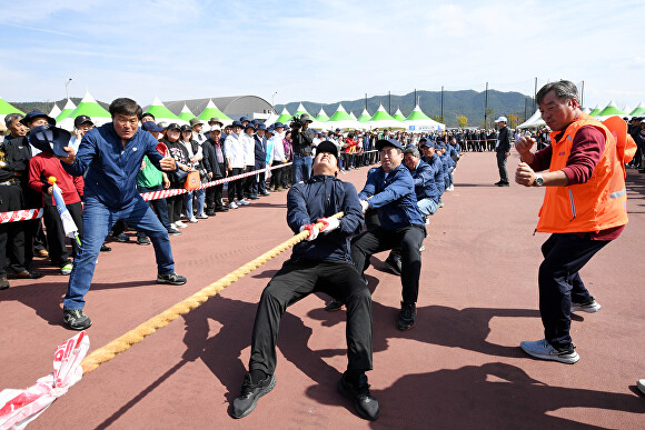 군위군민체육대회에서 줄다리기 경기가 열리고 있다. [사진=군위군]
