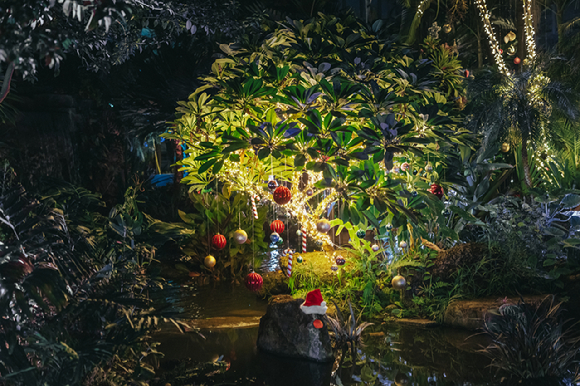 국립세종수목원이 다가오는 크리스마스 시즌과 연말연시를 맞아 특별한 이벤트를 선사한다. [사진=국립세종수목원 ]