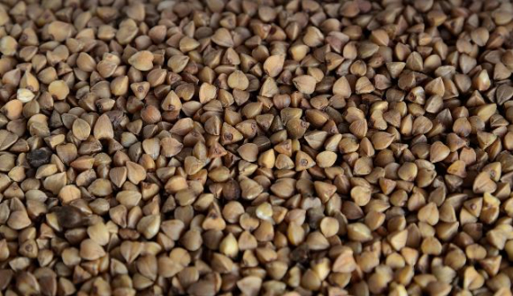 . [사진=픽사베이]