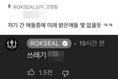 유튜버 이근이 이태원 참사 희생자들에게 악플을 단 누리꾼을 질타했다. [사진=유튜브 'ROKSEAL' 커뮤니티 캡처.]