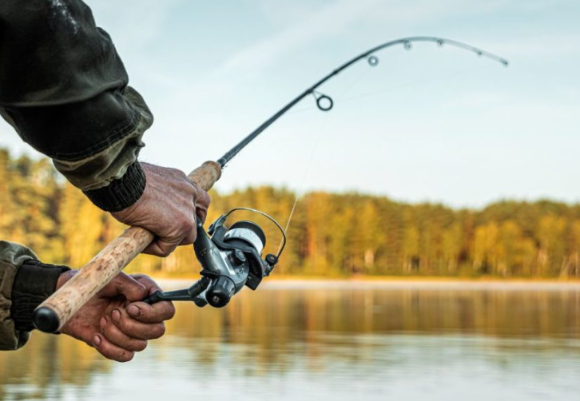 일본 지바현 미나미보소시(南房総市) 도미우라 신항에서 심해에 서식하는 '유령오징어(ユウレイイカ)'가 살아 있는 상태로 발견돼 학계의 관심을 쏠리고 있다. 사진은 본 기사 내용과 무관. [사진=Hells Canyon Boat Tours]