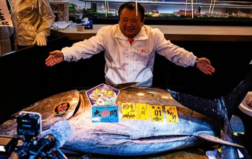 일본 초밥 체인점 '스시잔마이'를 운영하는 기요무라의 기무라 기요시 사장이 지난 5일 도쿄에서 열린 올해 첫 참치 경매에서 최고가에 참치를 낙찰받은 뒤 기념촬영을 하고 있다. [사진=AP/연합뉴스]