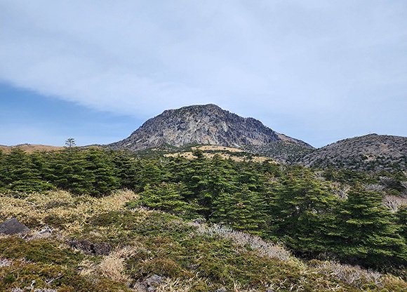 한라산 구상나무 자생지 [사진=한라산국립공원관리소]