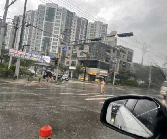 비 오는 날 한 남성이 나체 상태로 횡단보도를 건넌 사연이 알려지면서 궁금증이 쏟아지고 있다. [사진=온라인 커뮤니티 '이토랜드']