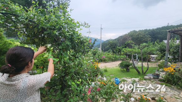 정원에서 가드닝과 산책이 정신 건강에 도움이 된다는 연구결과가 나왔다. [사진=정종오 기자]