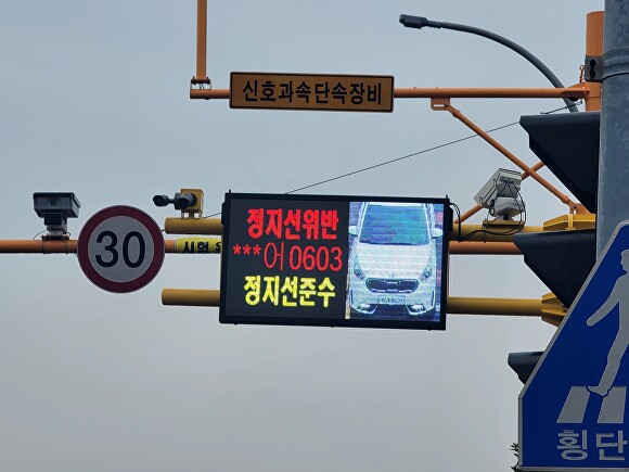  ‘스마트 횡단보도 시스템’을 적용한 신호기 [사진=제주자치경찰단]