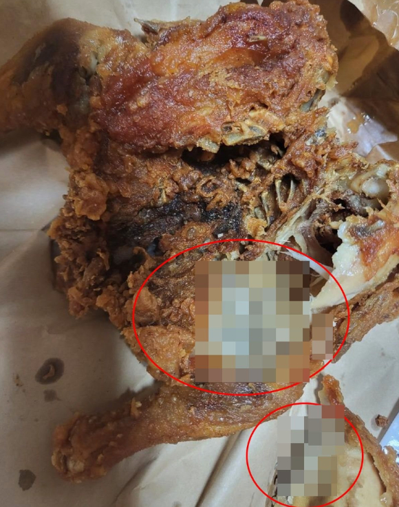 부산의 한 치킨집에서 구매한 통닭에서 구더기가 무더기로 쏟아져 나왔다는 사연이 전해졌다. 사진은 당시 통닭 상태. [사진=온라인 커뮤니티]