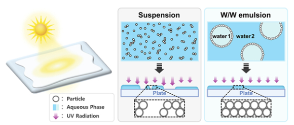 물-물 에멀전 기반 자외선 차단제 개발 국제 학술지. [사진=코스메카코리아]