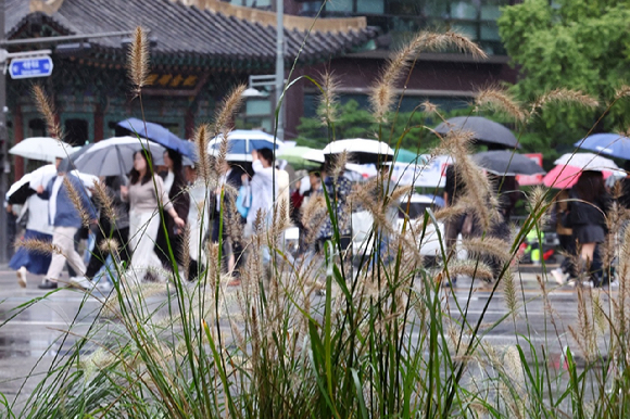 서울 종로구 광화문네거리에서 우산을 쓴 시민들이 길을 건너고 있다. [사진=연합뉴스]