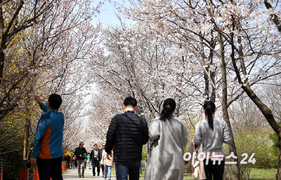 지난 2일 오후 서울 여의도 윤중로를 찾은 시민들이 꽃놀이를 즐기고 있다. [사진=곽영래 기자]