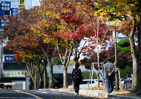 지난 1일 오전 광주 동구 지산동 광주지방법원에 심어진 단풍이 든 가로수 아래로 시민들이 걷고 있다. [사진=뉴시스]