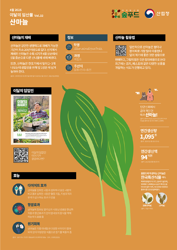 4월의 임산물로 '산마늘'이 선정됐다. [사진=산림청]