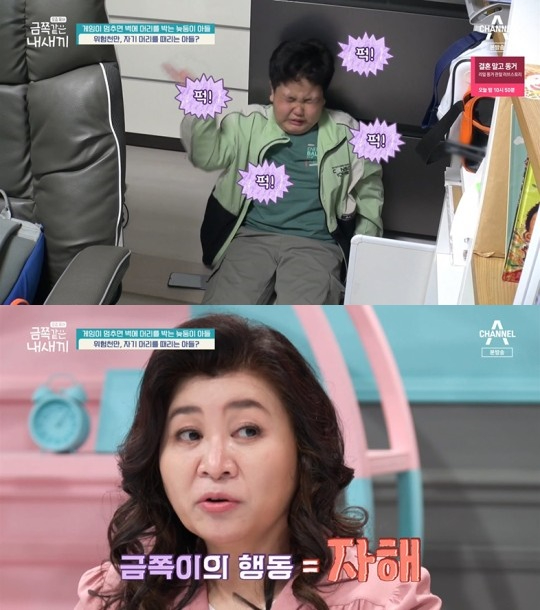 금쪽같은 내새끼 [사진=채널A]