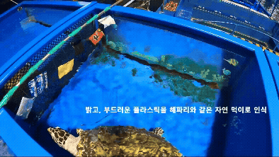 바다거북은 밝고, 부드러운 플라스틱을 선호했다. 이는 바다거북의 먹이 중 하나인 해파리로 착각하는 것과 무관치 않은 것으로 분석됐다. [사진=KIOST]