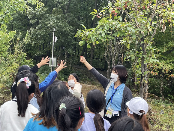 경북 칠곡군 석적읍 국립칠곡숲체원에서 대천초등학교(대구 소재) 학생들이 탄소중립 산림교육프로그램 ‘오감빙고’에 참여하고 있다. [사진=한국산림복지진흥원 ]