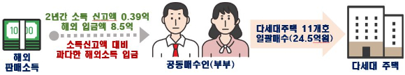 부동산 취득을 위한 해외자금 불법반입 의심 사례 [사진=국토교통부]