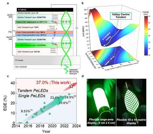 하이브리드 탠덤 페로브스카이트 발광다이오드의 개념도 및 소자 효율. 단일소자 페로브스카이트 발광 다이오드 소자효율(외부양자효율) 동향과 탠덤 페로브스카이트 발광소자 효율 및 대면적, 유연 발광 소자 이미지 [사진=과기정통부]