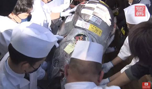  [사진=유튜브 Nippon TV News 24 Japan 캡처]
