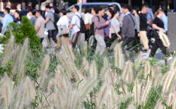 지난 24일 서울 종로구 세종대로 사거리에서 긴팔 옷을 입은 시민들이 쌀쌀한 날씨 가운데 발걸음을 옮기고 있다. [사진=뉴시스]