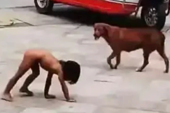 중국 쓰촨성에서 세 살배기 아동이 알몸으로 길바닥을 기어 다니는 영상이 퍼지며 아동학대 논란이 커지고 있다. 사진은 해당 아동. [사진=바이두 갈무리 ]