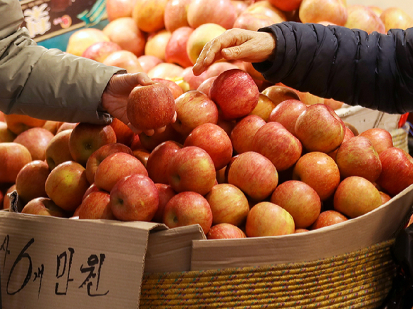 지난달 29일 서울 동대문구 청량리 청과물 도매시장에서 시민이 사과를 구매하고 있다. [사진=뉴시스]