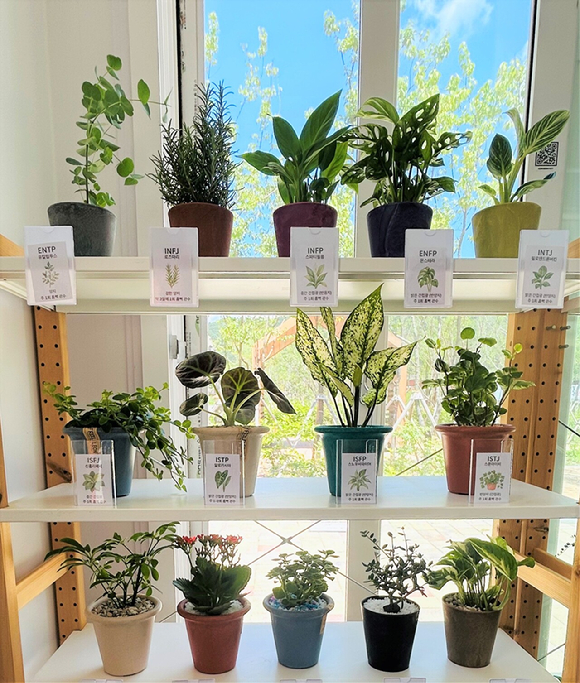 국립정원문화원 가든샵에서 판매 중인 반려식물. [사진=국립정원문화원]