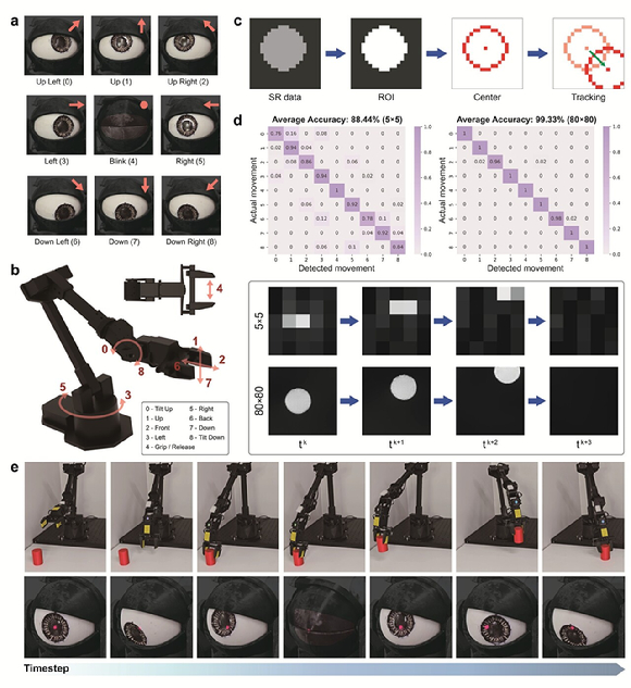 눈짓으로 움직이는 로봇…눈 깜박하면 물건 잡아 [영상]